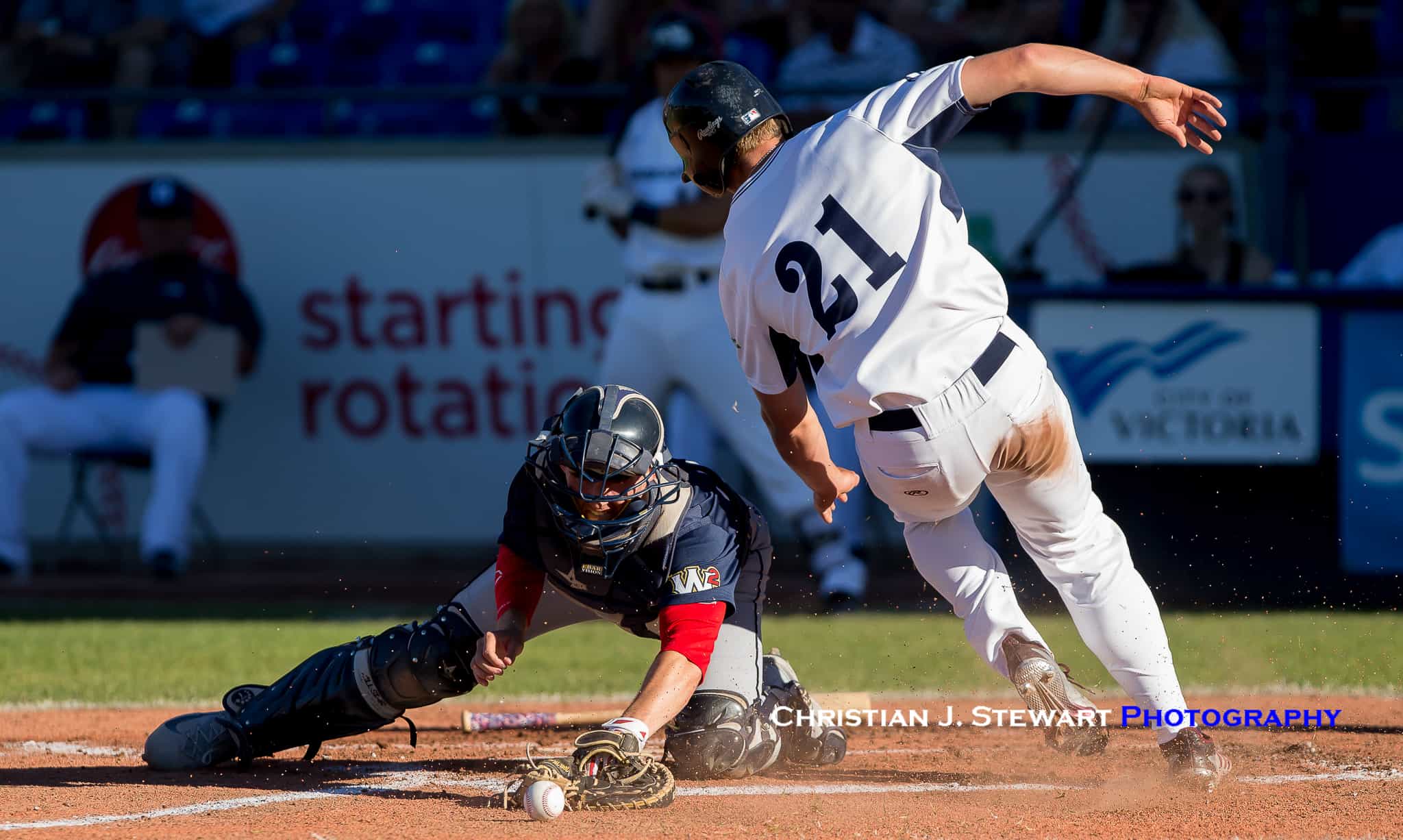 HarbourCats Use Long Ball to Thump Sweets