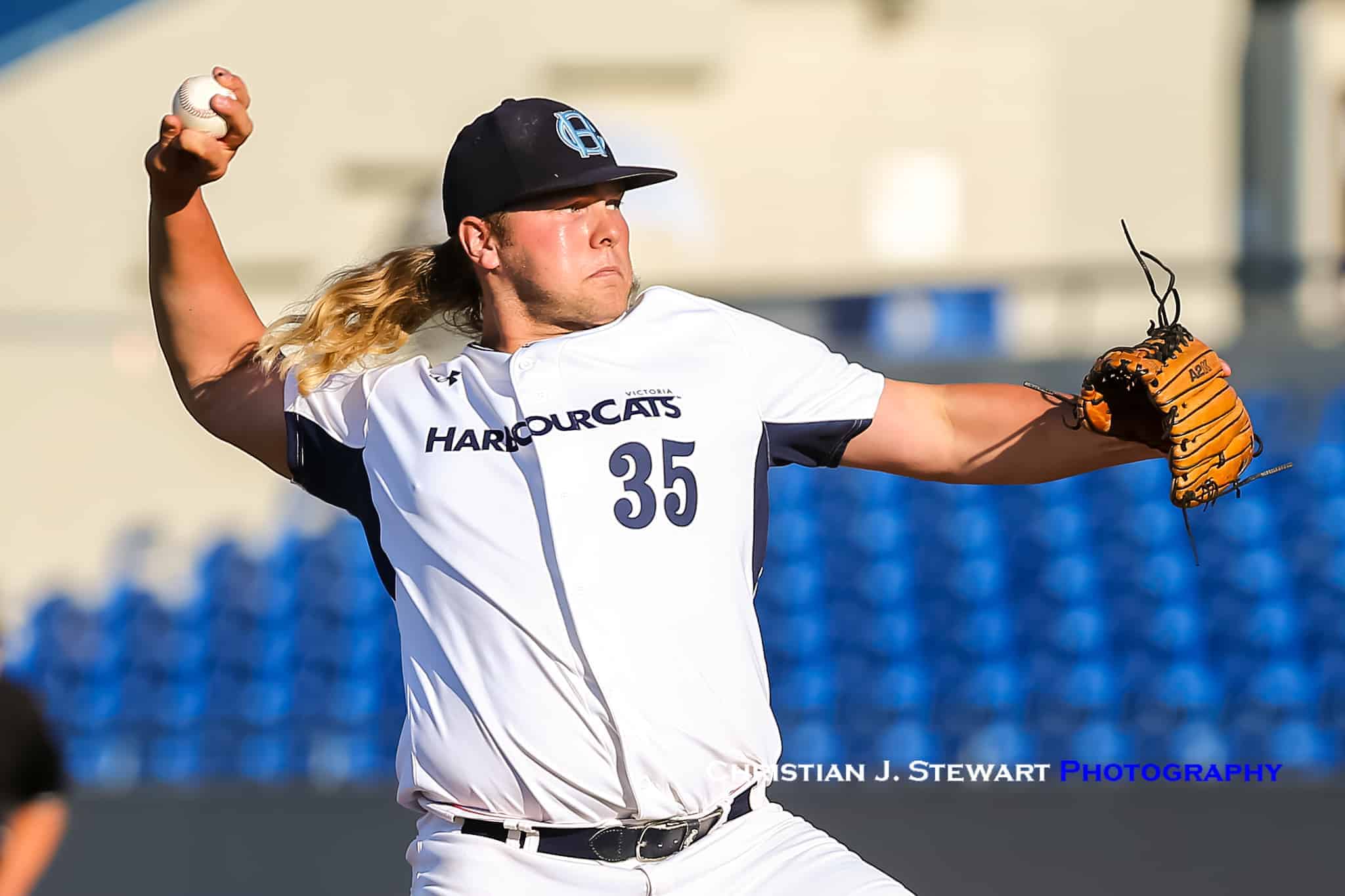 HarbourCats explode for 10 runs to snap losing streak
