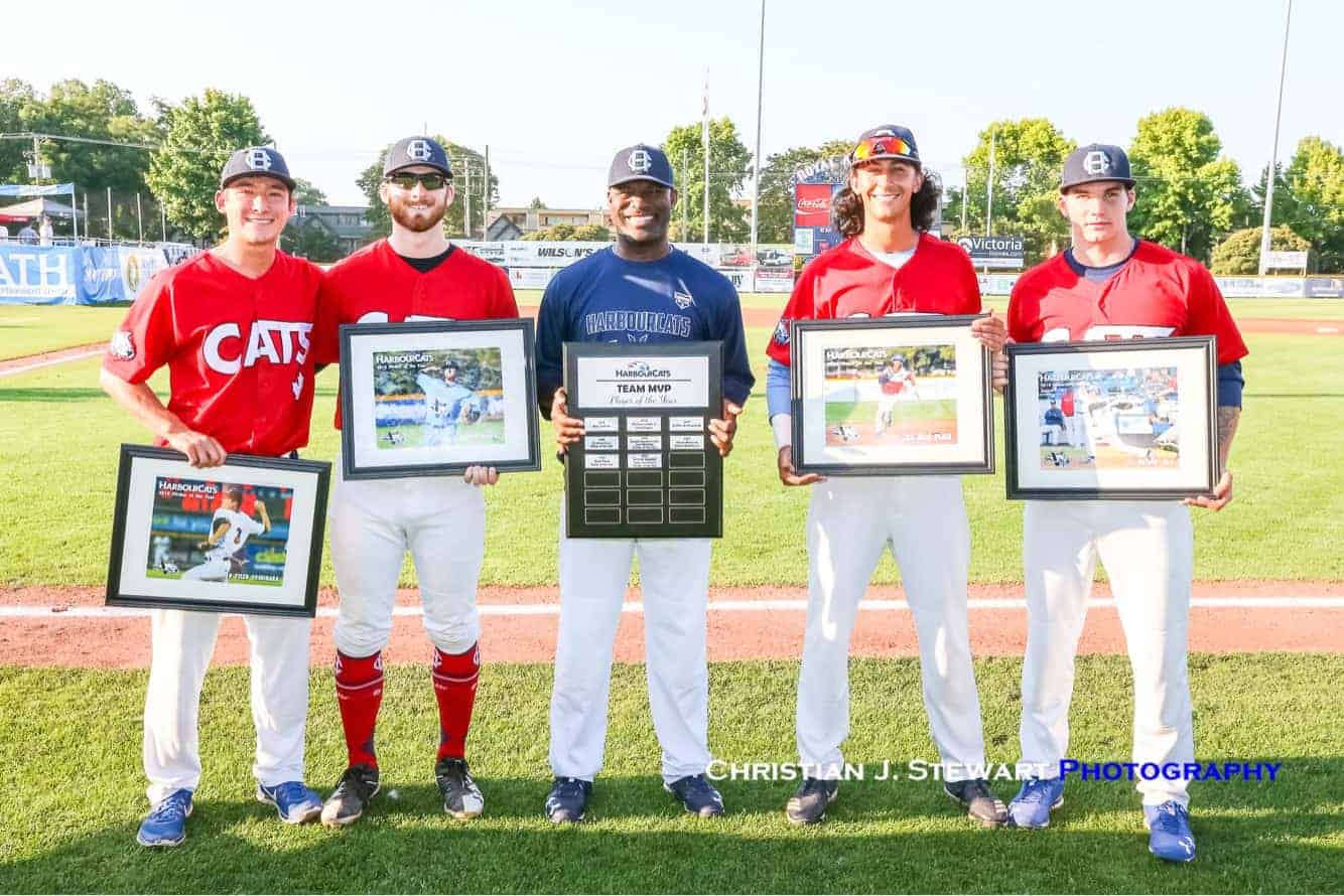 'Cats set new WCL attendance record but see Playoff hopes end