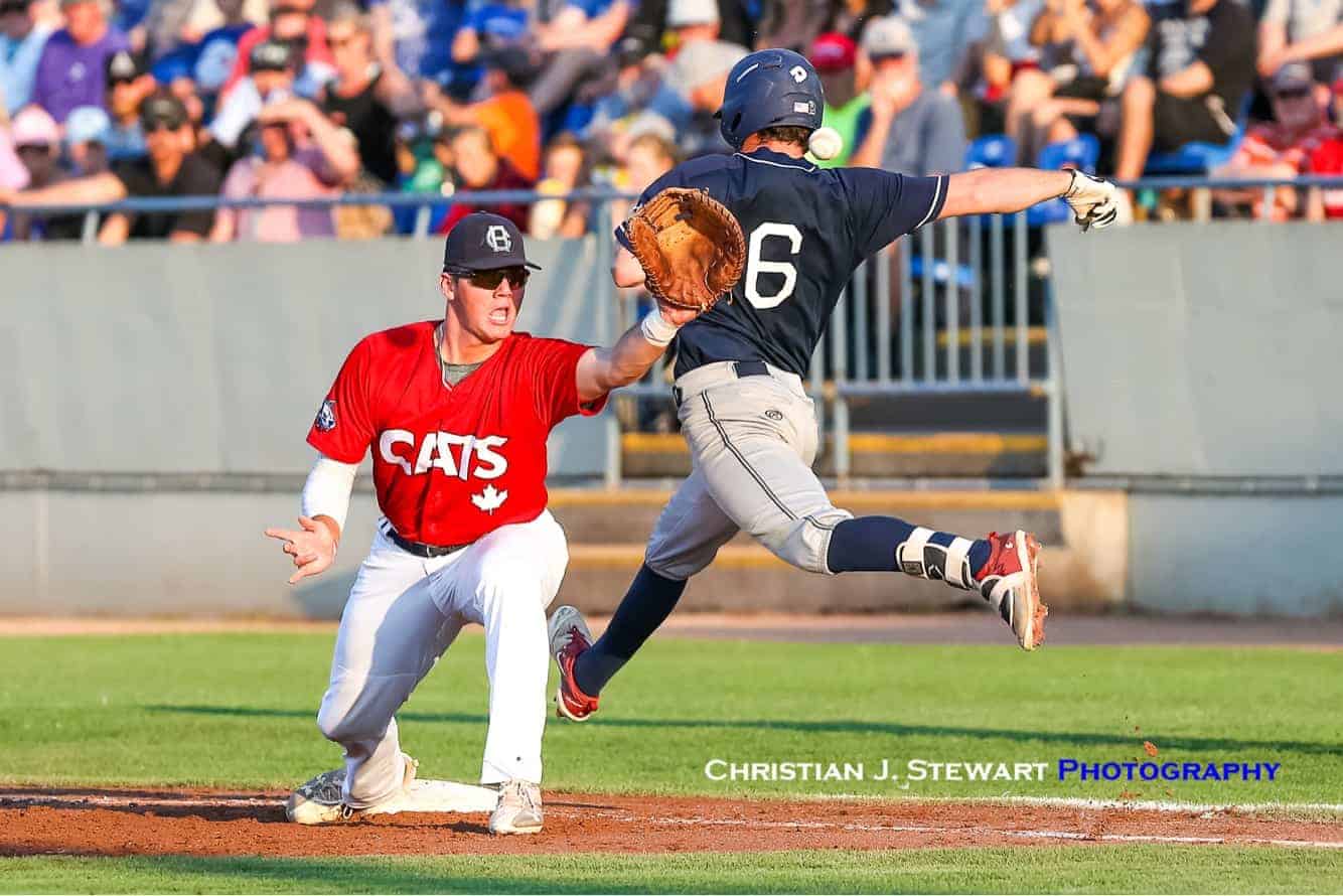 All 2018 HarbourCats Photography Now Available for Viewing and Purchase