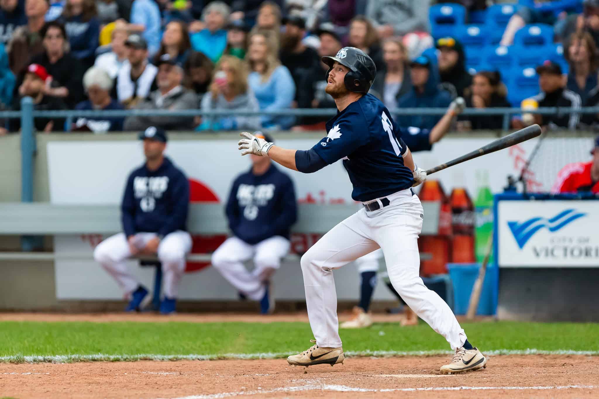 Niemann's five hits highlight HarbourCats series clinching victory in Wenatchee