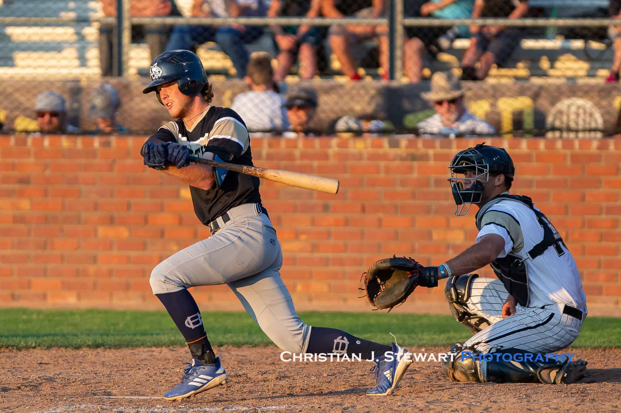 HarbourCats Help Power North to Decisive Win in 2019 WCL All-Star Game