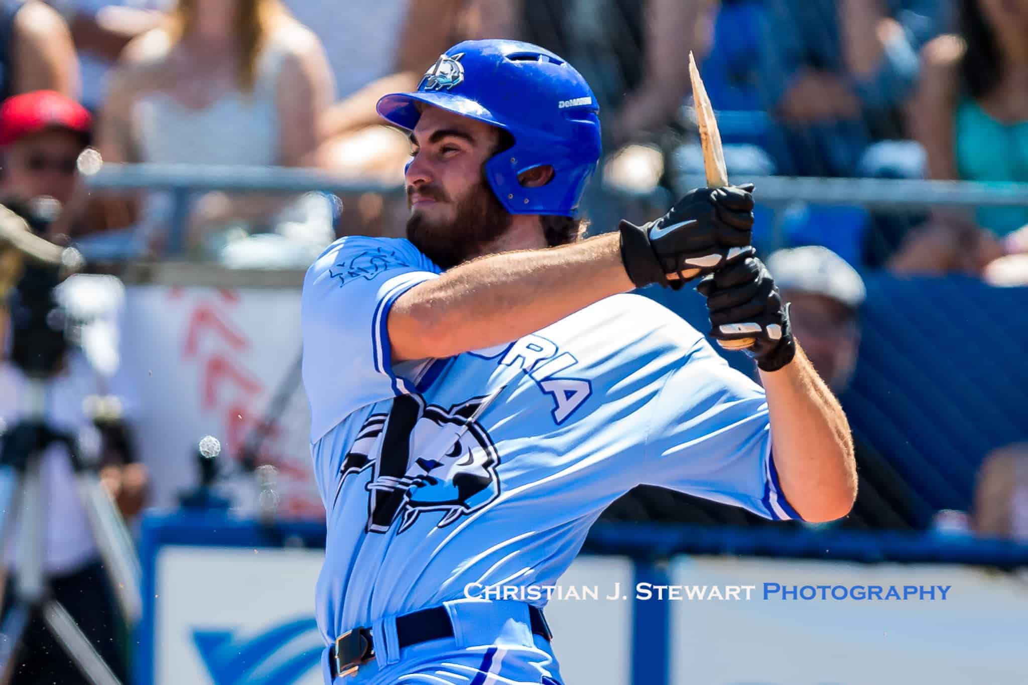 HarbourCats fall to Bulldogs in exhibition matinee