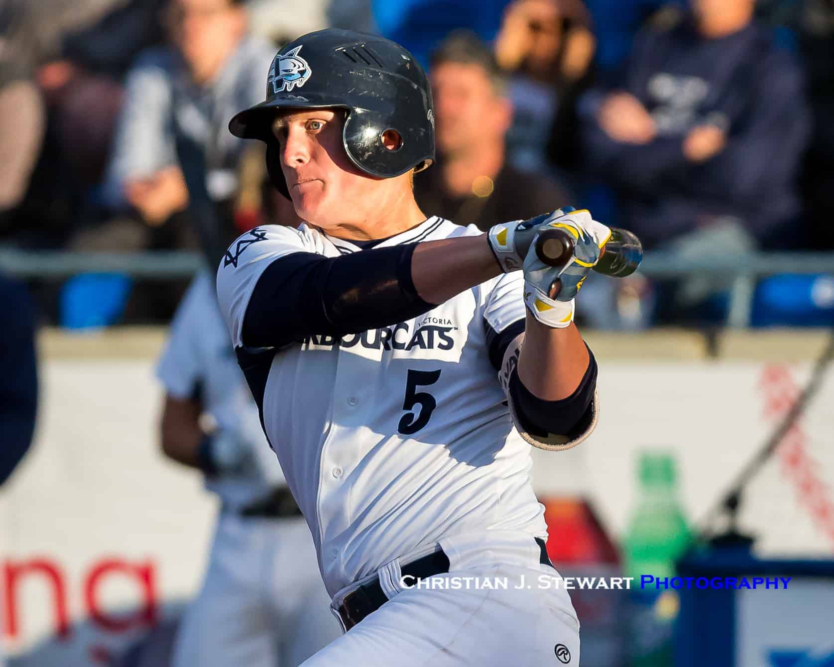 Seven Former HarbourCats to Participate in 2021 MLB Spring Training Camps