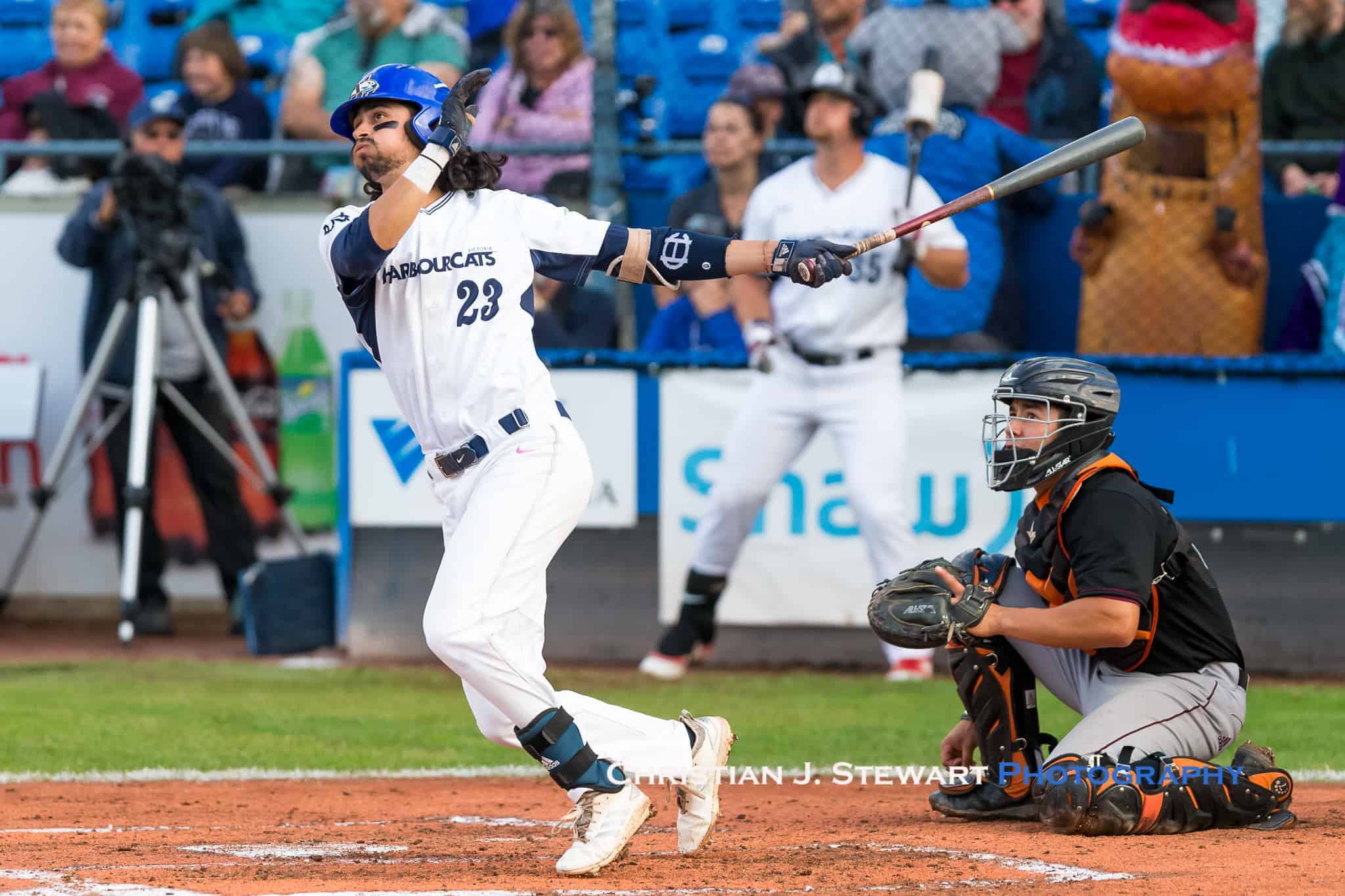 Victoria HarbourCats - Griffin Paxton