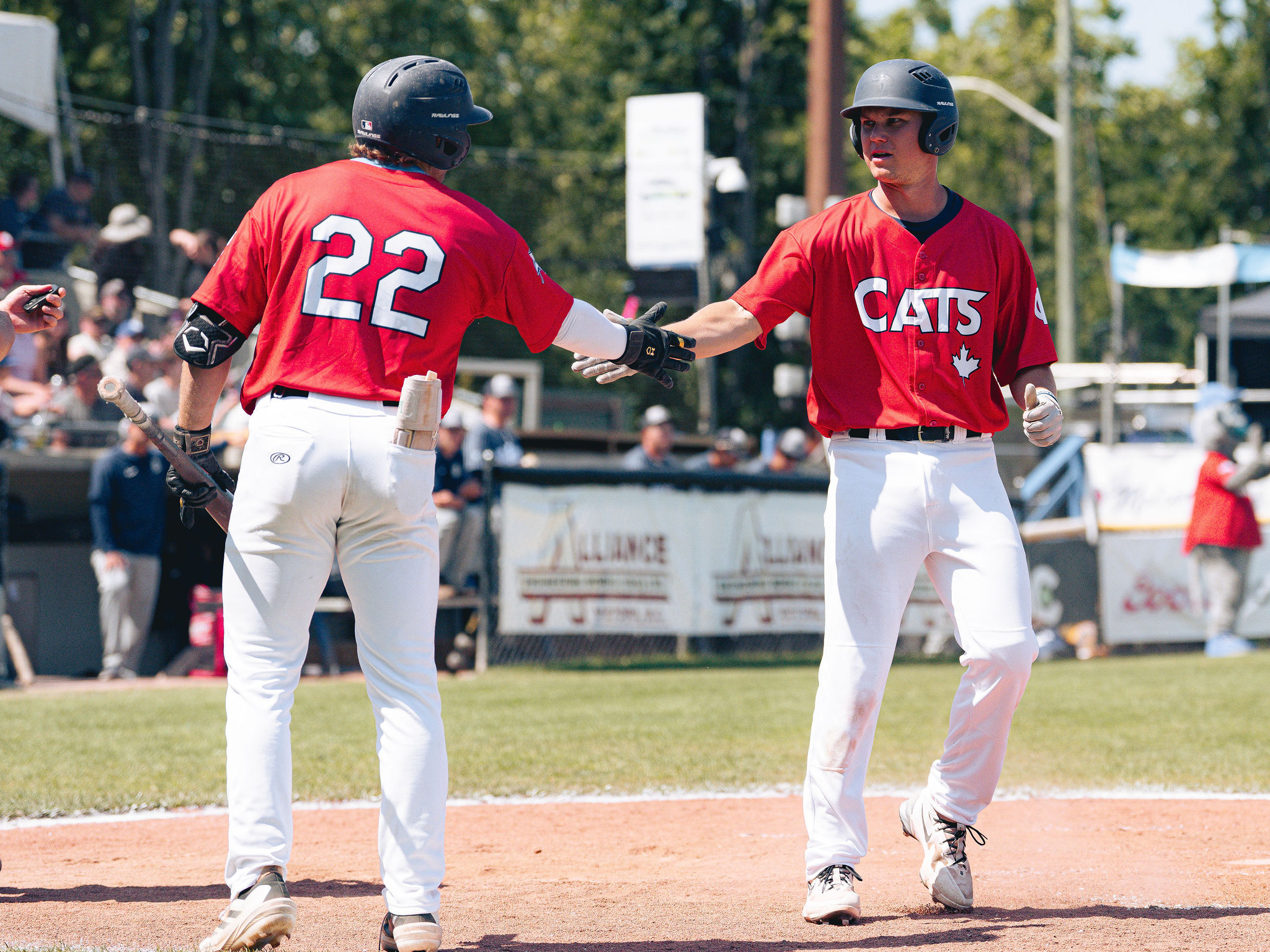 Victoria HarbourCats Bells walk off Cats in tense playoff like